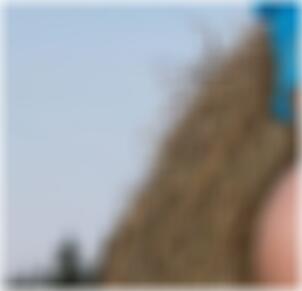 One Night Stand Bernburg Doris9487