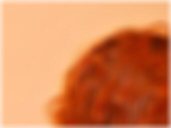Partnersuche Wesel Hannah