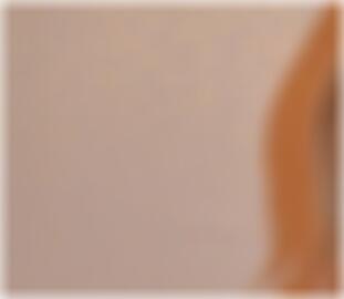 private Sexkontakte in Mainz Rosana