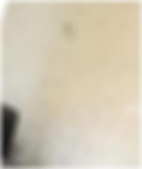 private Sexkontakte Velbert Nora
