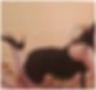 Seitensprung Ennepetal Rita