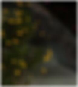 Sexdating in Geestland BuffyxLSP
