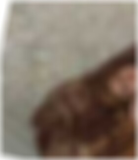 Sexpartner finden in Dietzenbach Michelle