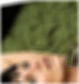 Swingerclub Kiel Bao