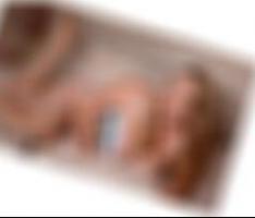Sex in der Nähe in Bergheim Elena4974