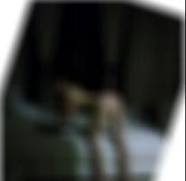 Sugardaddy in Burgdorf Mila