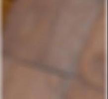 Swingerclub Flensburg Isabelle